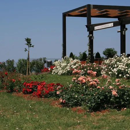 Szálloda Rosetta 4*